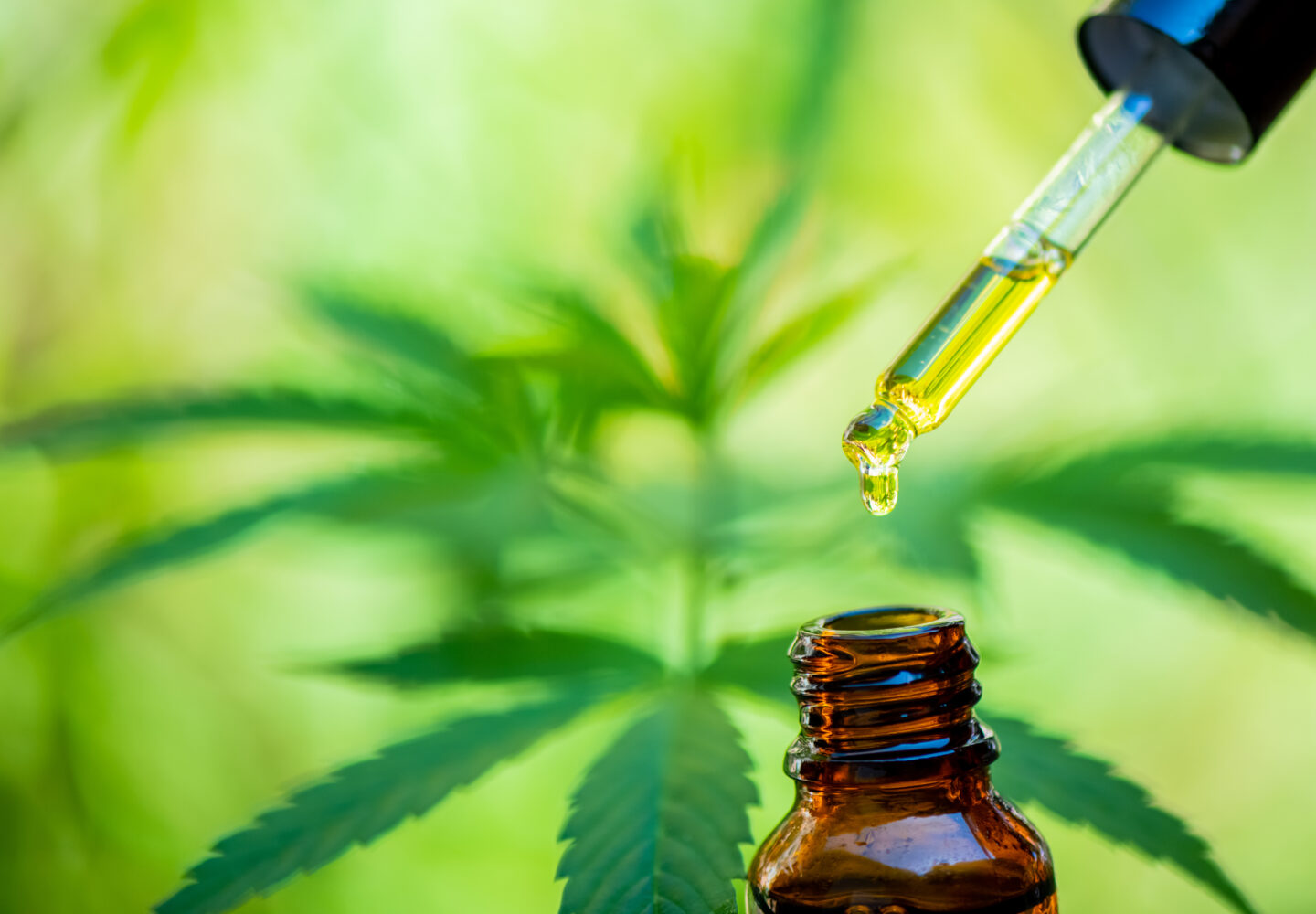 Sunny Vape Olejek Konopny CBD