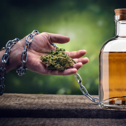 CBD a alkoholizm. Czy konopie pomagają w terapii uzależnień?